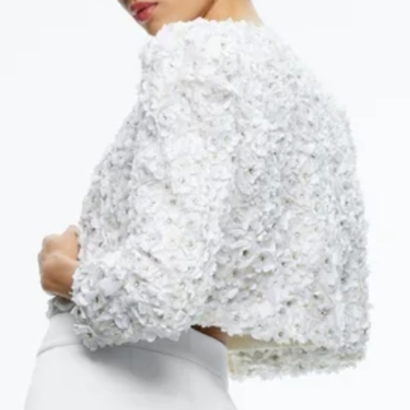 ALICE + OLIVIA Floral Applique Jacket - Picture 4 of 11
